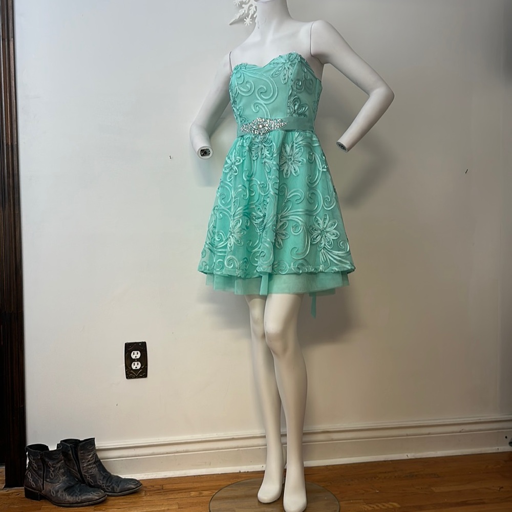 Stunning LE Chateau mint green summer dress prom wedding embroidered mesh lace